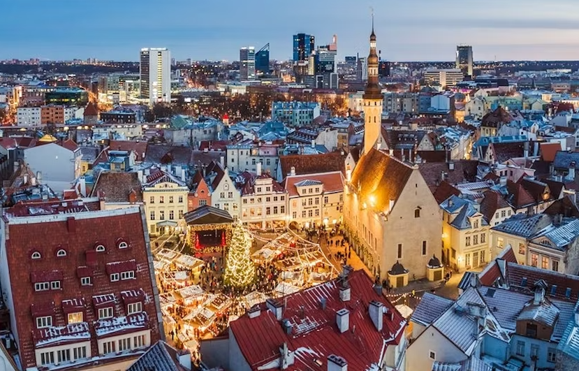 Helsinki to Tallinn guided tour with round trip cruise tickets - Image 3